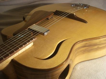 Building an Ecological Hybrid Archtop Flat top Acoustic Electric